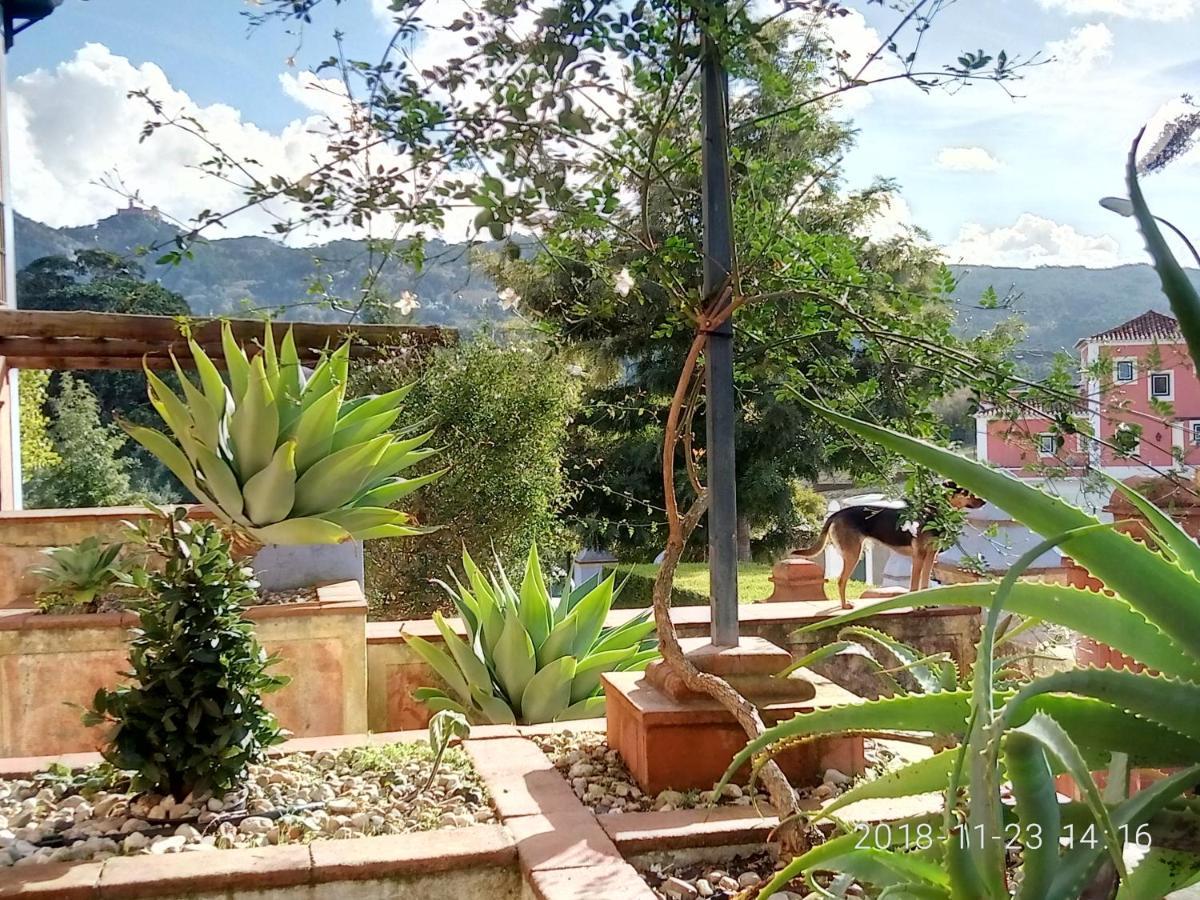 Bed and Breakfast Casa de Santo Amaro Sintra Exterior foto